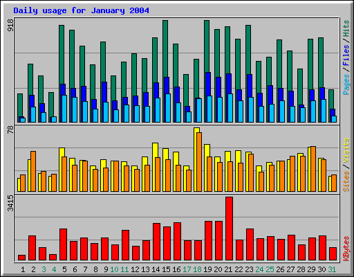 Daily usage for January 2004
