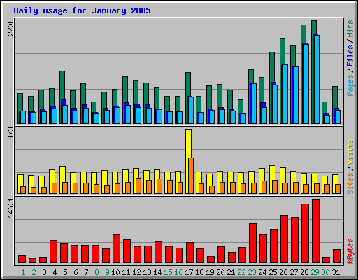 Daily usage for January 2005