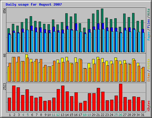 Daily usage for August 2007