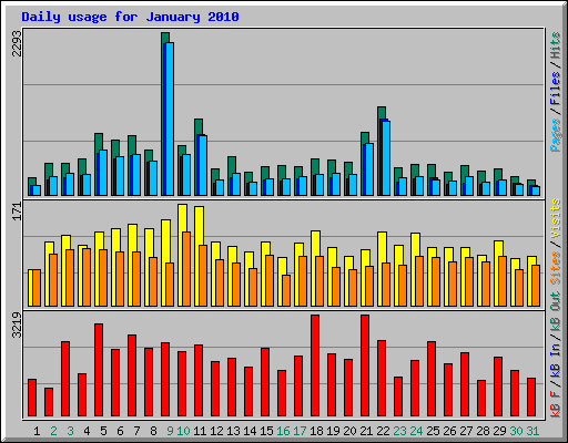 Daily usage for January 2010