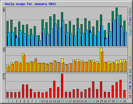 Daily usage for January 2011