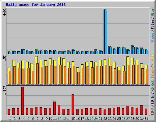 Daily usage for January 2013