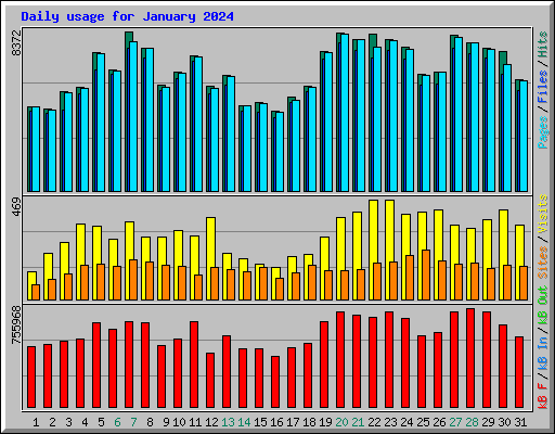 Daily usage for January 2024