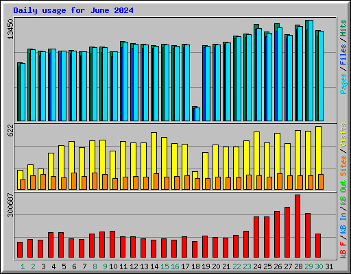 Daily usage for June 2024