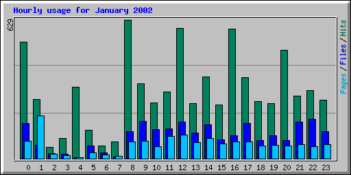 Hourly usage for January 2002