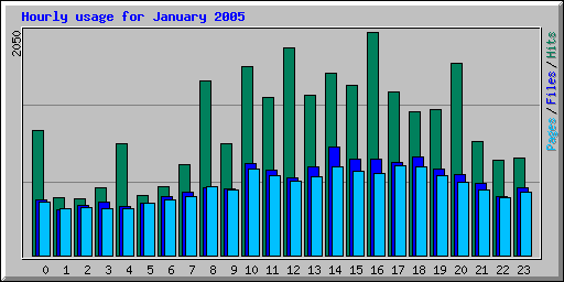Hourly usage for January 2005