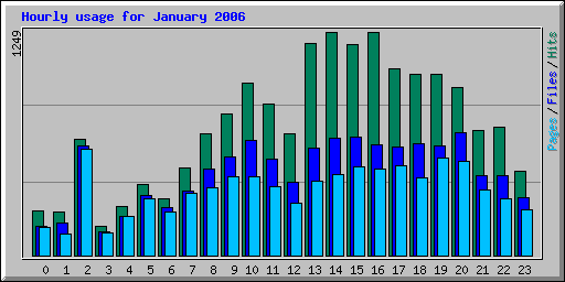 Hourly usage for January 2006