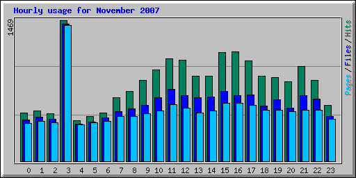 Hourly usage for November 2007