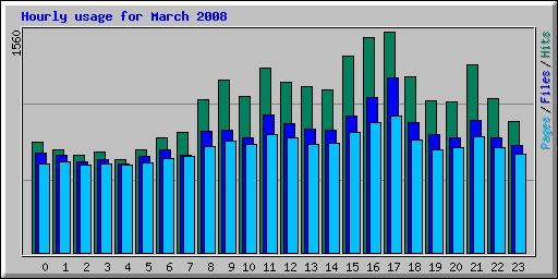 Hourly usage for March 2008