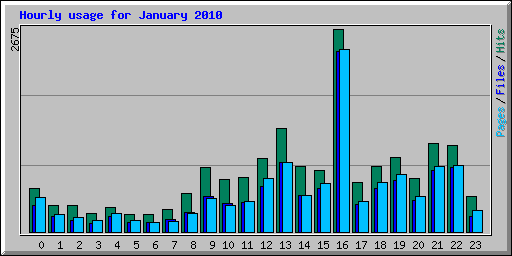Hourly usage for January 2010