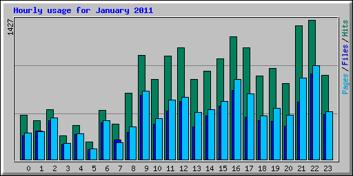 Hourly usage for January 2011