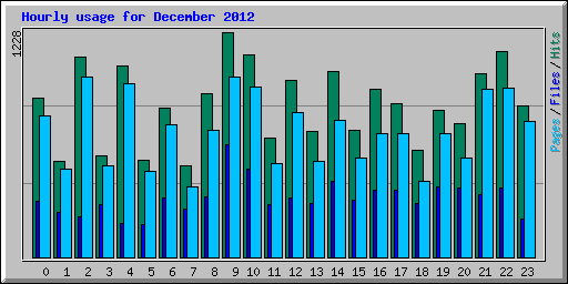 Hourly usage for December 2012