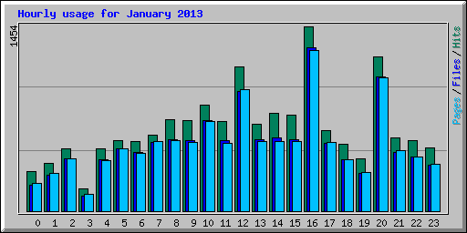 Hourly usage for January 2013