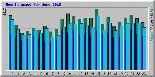Hourly usage for June 2013