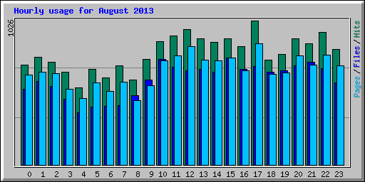 Hourly usage for August 2013