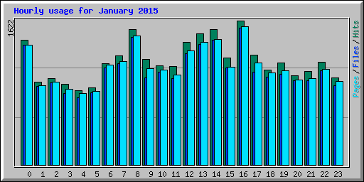 Hourly usage for January 2015