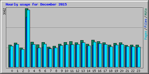 Hourly usage for December 2015