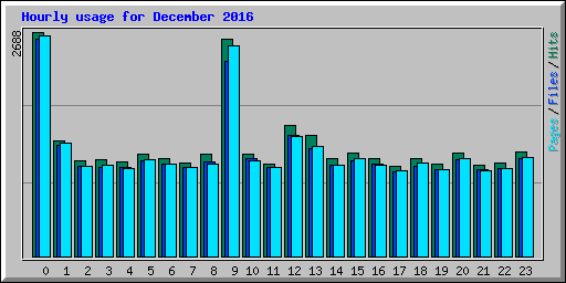 Hourly usage for December 2016