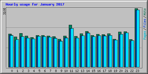 Hourly usage for January 2017