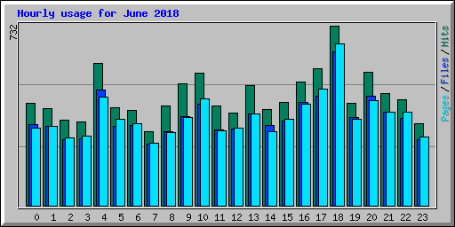 Hourly usage for June 2018