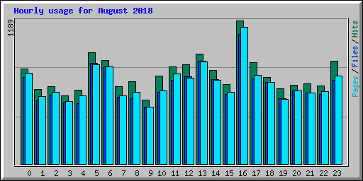 Hourly usage for August 2018
