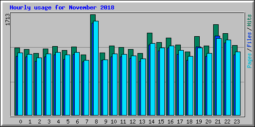 Hourly usage for November 2018