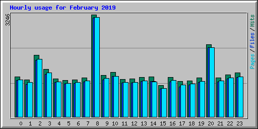 Hourly usage for February 2019