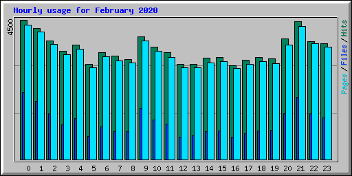 Hourly usage for February 2020
