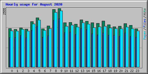 Hourly usage for August 2020