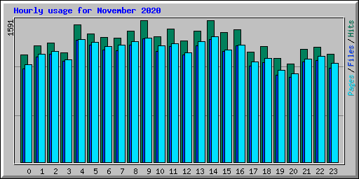 Hourly usage for November 2020