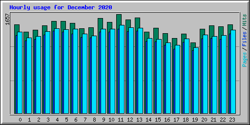 Hourly usage for December 2020