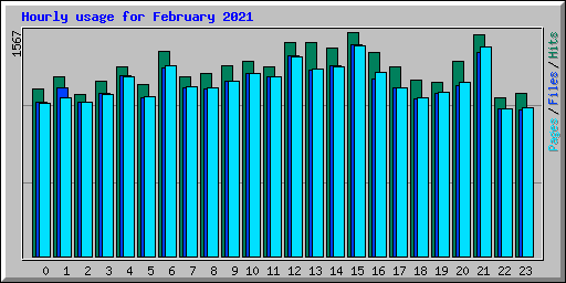Hourly usage for February 2021