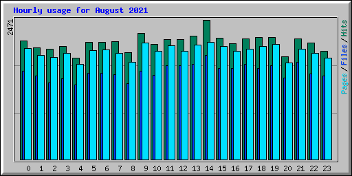 Hourly usage for August 2021