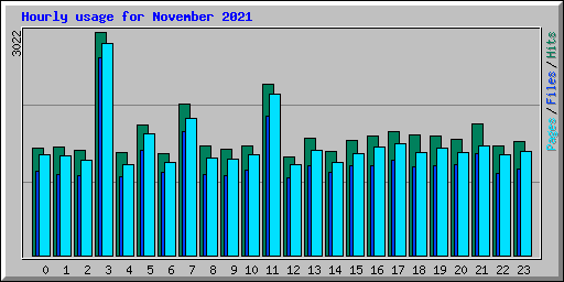 Hourly usage for November 2021
