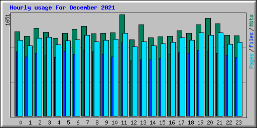 Hourly usage for December 2021
