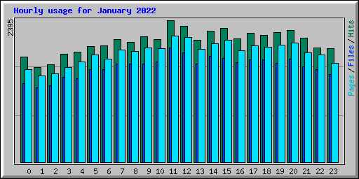 Hourly usage for January 2022