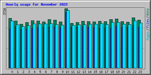 Hourly usage for November 2022