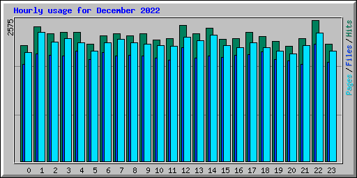 Hourly usage for December 2022