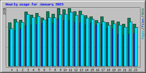 Hourly usage for January 2023
