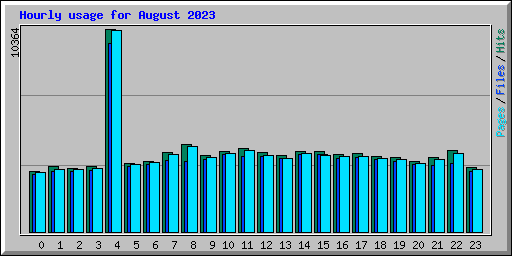 Hourly usage for August 2023