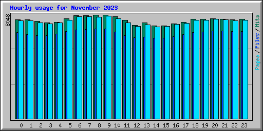 Hourly usage for November 2023