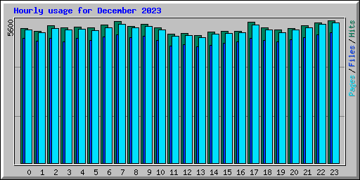 Hourly usage for December 2023