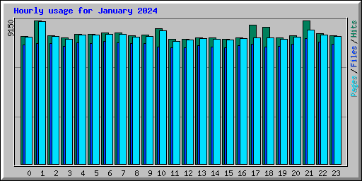 Hourly usage for January 2024