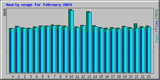 Hourly usage for February 2024