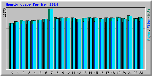 Hourly usage for May 2024