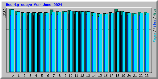 Hourly usage for June 2024