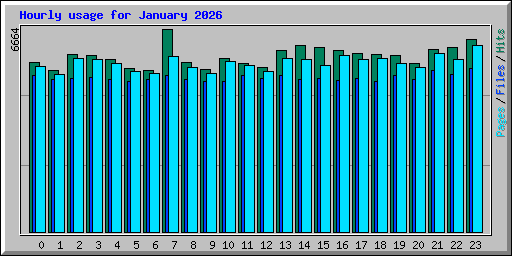Hourly usage for January 2026